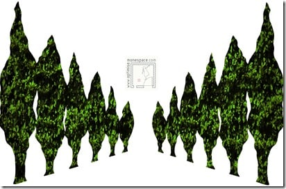 Comment aménager un petit jardin : perspective arbres