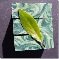 sur-le-chemin-dalep-savon-peaux-a-probleme-pachamamai