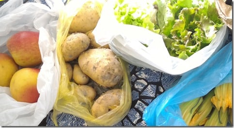 zéro déchet mes courses sans sac -2